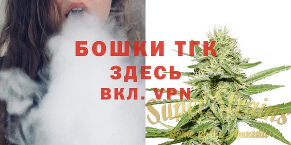молекула духа Верея
