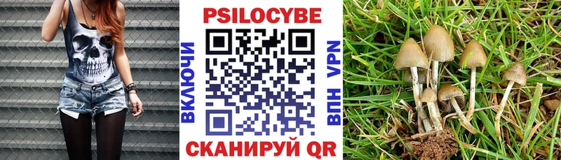 хочу   Полярный  Галлюциногенные грибы мицелий 